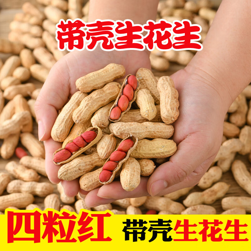 咔芙滋四粒红紫衣带壳生花生21年新福建龙岩原味新鲜花生米晒干农家