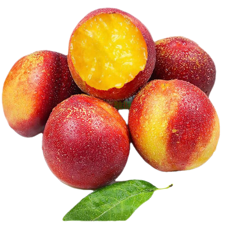 ������޽������ҰĴ��������ʴ����Ҳ����и���������ˮ�����װ 5�ﾫѡ�����������ҡ� 173Ԫ