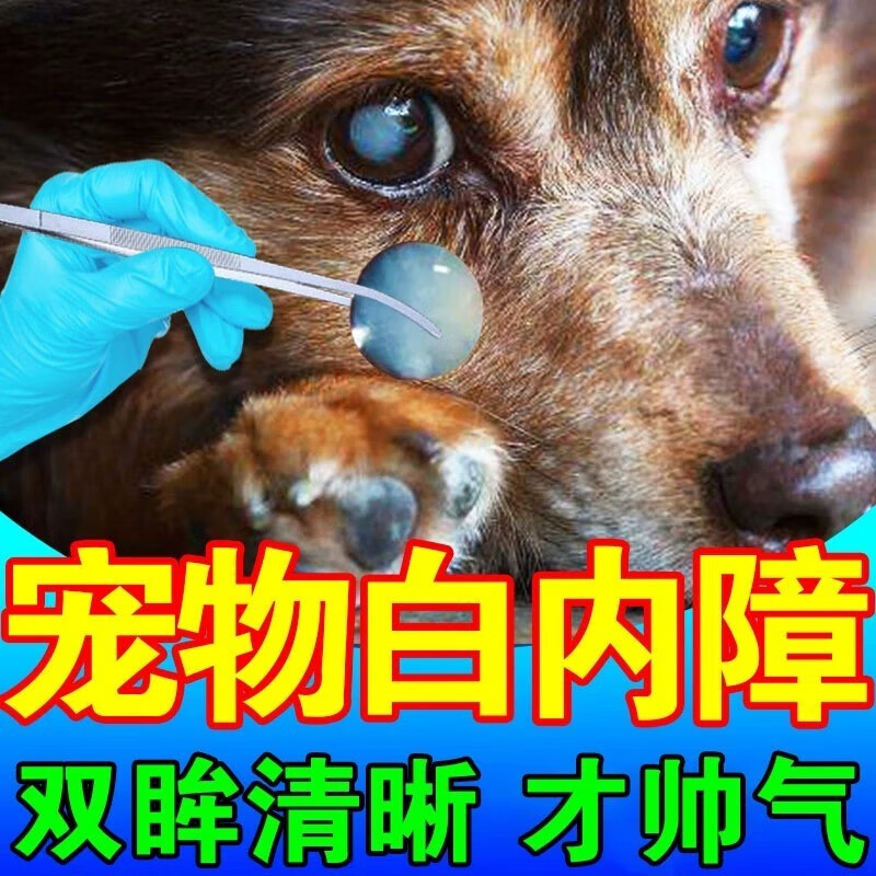 白内障滴眼液狗狗白内障专用滴眼液宠物猫咪去泪痕去眼屎缓解眼部干涩老年犬眼睛角膜炎 3瓶装【狗狗眼屎多】 京东折扣/优惠券