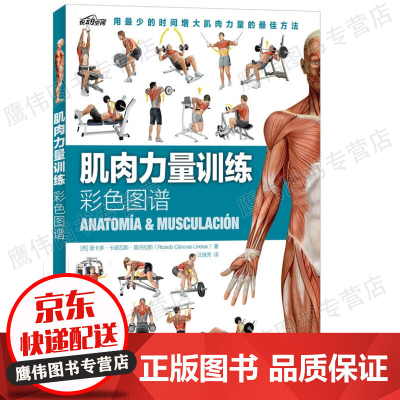 健身书籍大全 肌肉力量训练彩色图谱 徒手健身教练力量与肌肉训练图解 拉伸训练 力量训练书籍 肌肉拉伸书 健美书