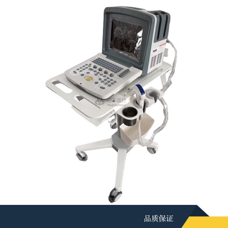 锐辰超声仪器架子移动多功能便携式彩超机台车b超治疗仪设备推车 a款