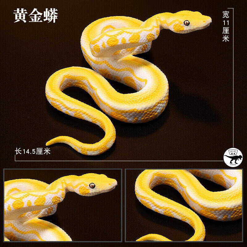 69黄金蟒儿童动物园玩具摆件仿真蛇模型爬行两栖动物蟒蛇黄金蟒眼镜
