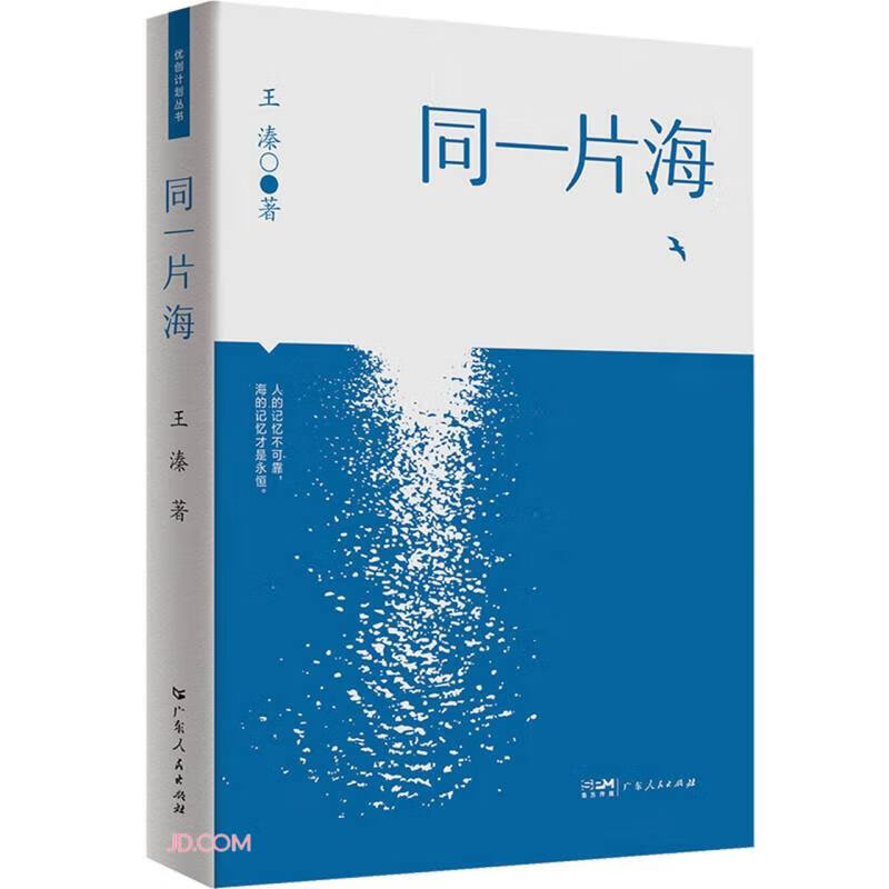 同一片海 王溱 长篇小说青春无悔的岁月实
