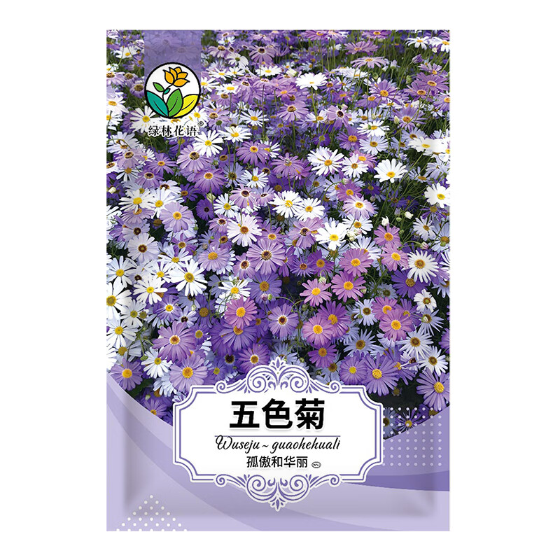 绿林花语五色菊种子混色矮生花卉种子阳台盆栽道路景观花海四季播庭院