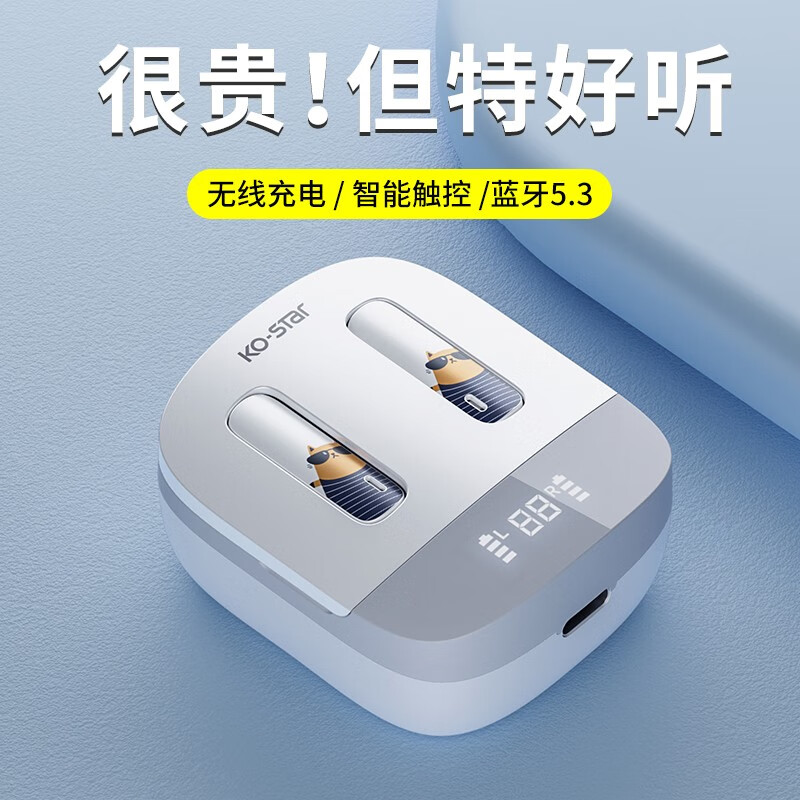 怎么看蓝牙无线耳机历史价格|蓝牙无线耳机价格走势