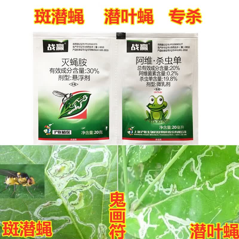 鬼画符农药斑潜蝇潜叶蝇专用杀虫剂灭蝇胺阿维菌素杀虫单蔬菜通用 40g