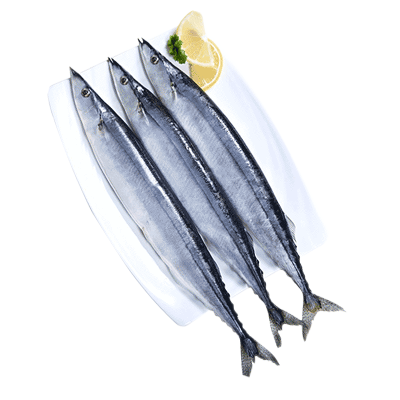 海升東秋刀魚 深海魚燒烤食材新鮮秋刀魚超大規(guī)格冷凍海鮮水產生鮮 魚類 秋刀魚3斤裝 2號秋刀