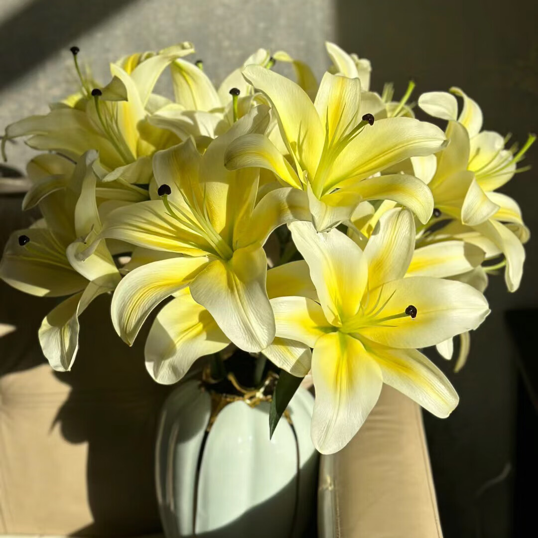 黄色香水百合家用水养鲜切花云南鲜花直发 黄百合30朵 送保鲜剂(顺丰