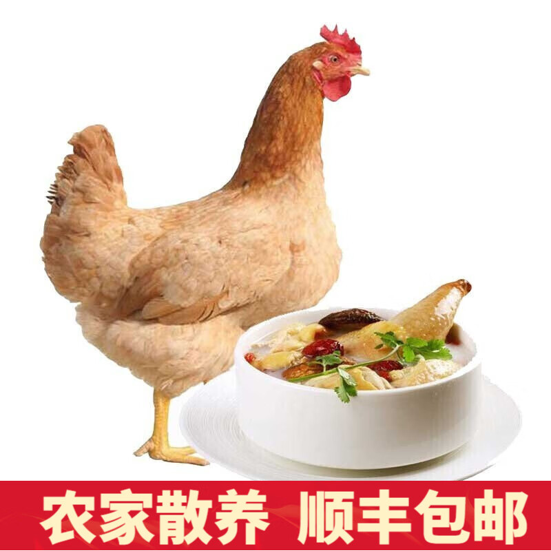 【芮瑞】品牌鸡肉：价格走势、销量趋势和评测心得|京东看鸡肉最低价