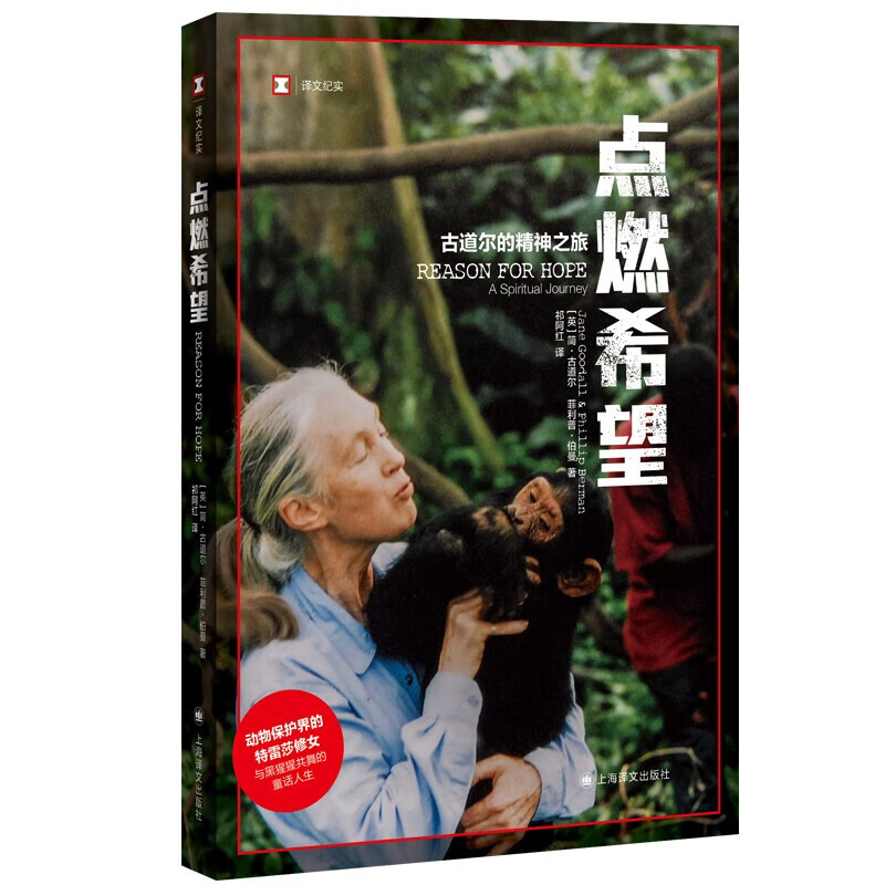 正版现货 点燃希望