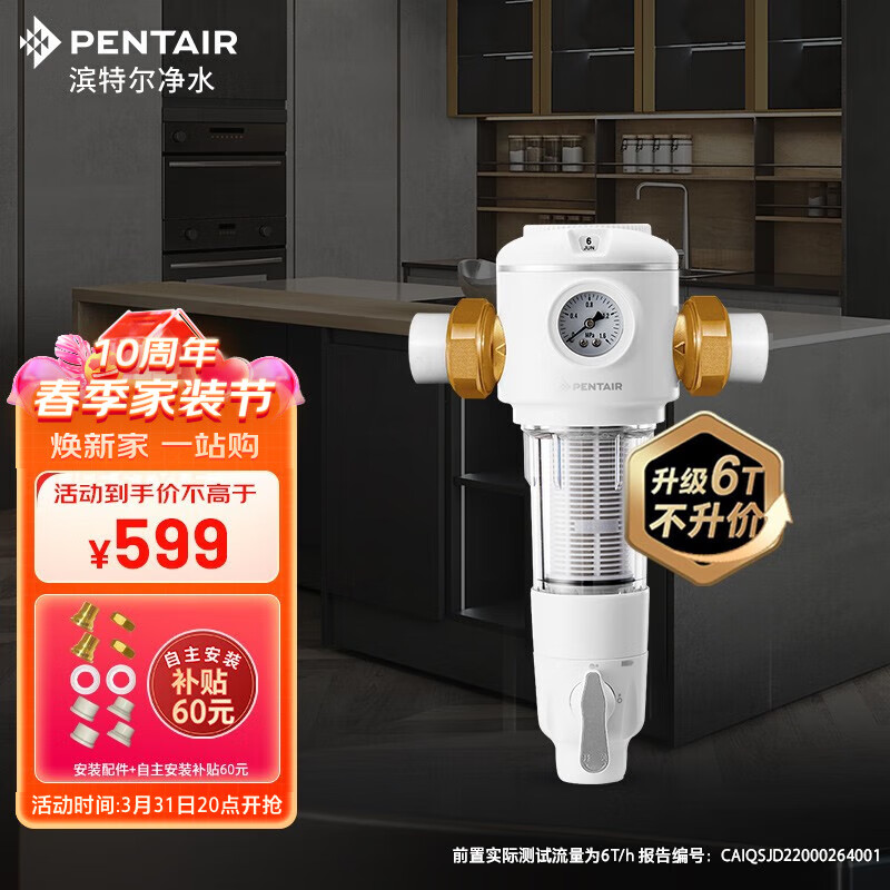 滨特尔（pentair） 前置过滤器B140大通量家用全屋自来水管道40μm过滤器虹吸正反冲洗双面刮洗净水器 B140-B1104全屋前置过滤器