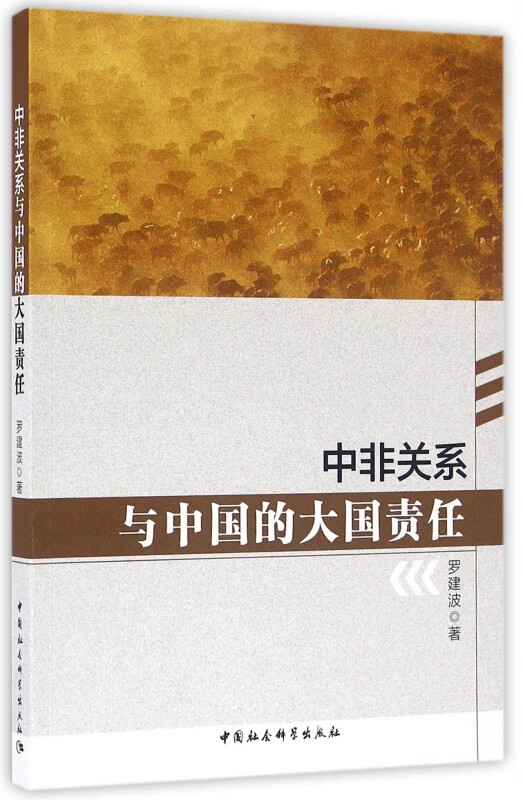 中非关系与中国的大国责任