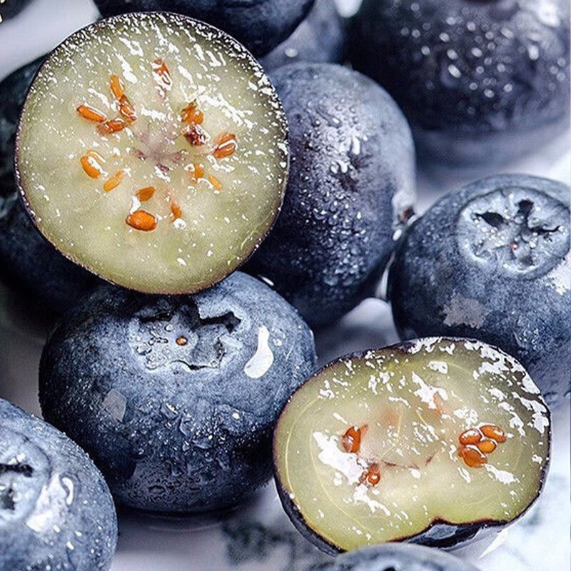 千园九味L25花香蓝莓新鲜蓝莓鲜果盒装应当季水果现摘现发京鲜大果礼盒 4盒单盒100g【单果12mm+】