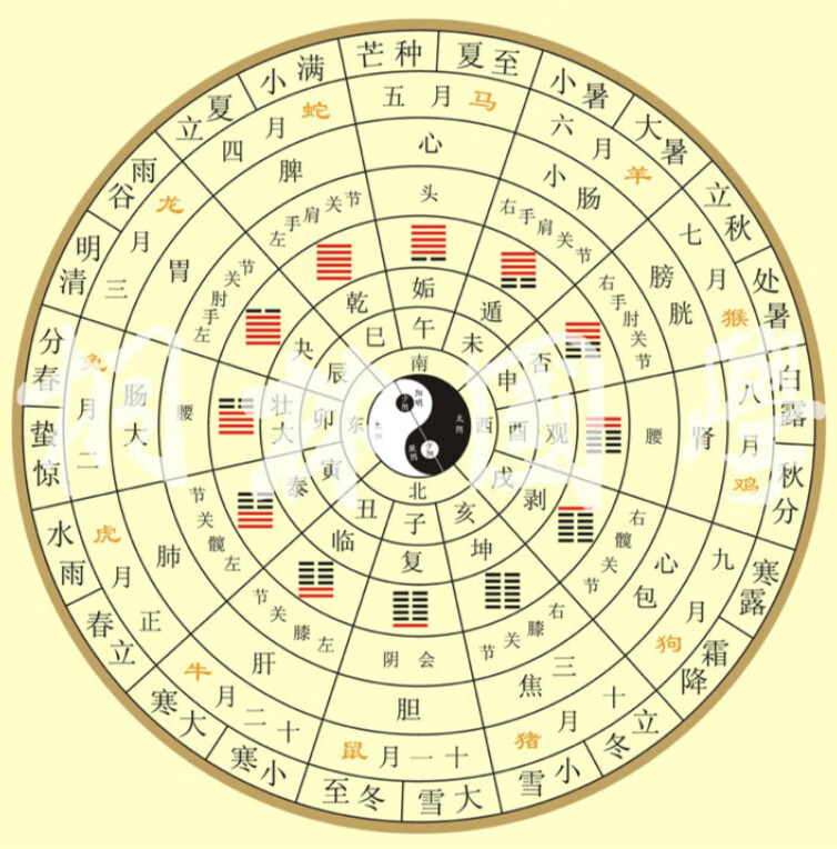 十二卦象图八卦图络装饰画 淡 90*90cm 无外框 棉质油画布材料