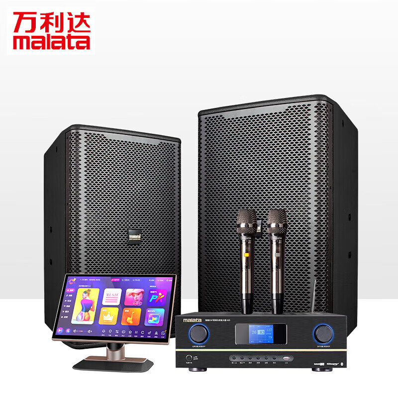 万利达（Malata）MV10专业舞台会议音响系统家用家庭影院ktv音箱点歌机三合一功放10英寸