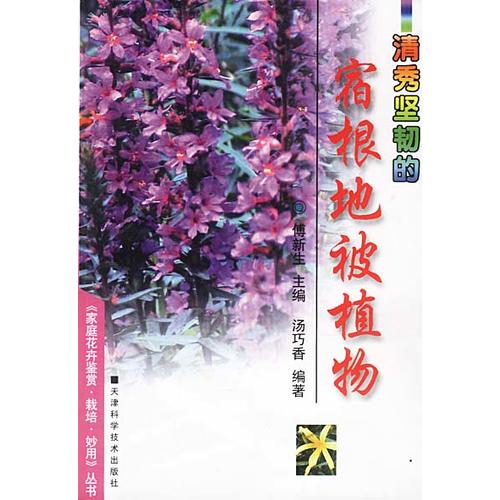 宿根地被植物【正版精选】