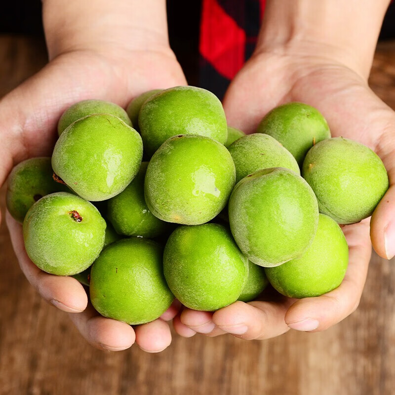 青尊园福建诏安青梅鲜果新鲜现摘生酸脆梅子泡酒酵素孕妇水果 优选装5
