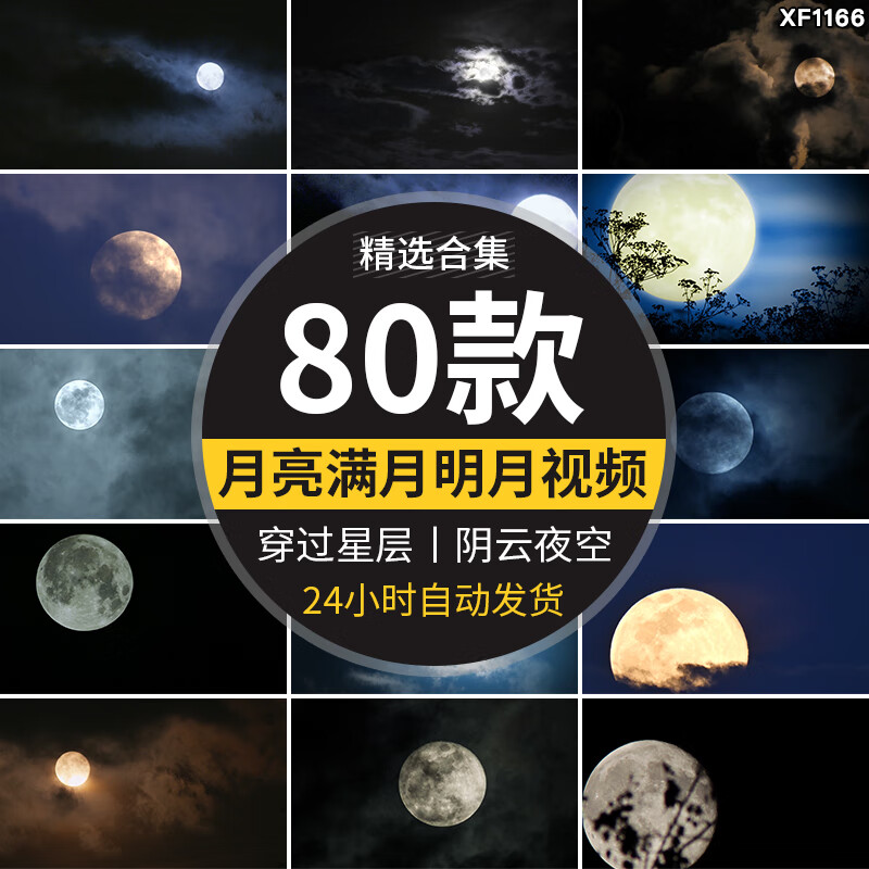 月亮实拍穿过乌云夜景阴云明月圆月满月空系树枝剪影视频素材