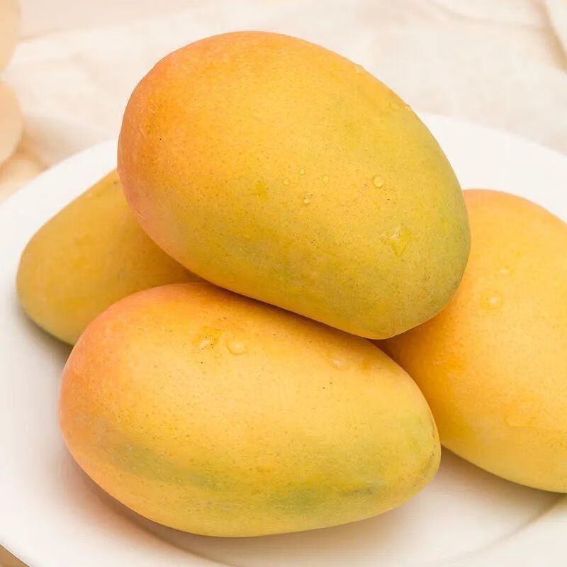 京诗悦海南鸡蛋小芒果9斤新鲜当季现摘热带水果鸡蛋芒果应季整箱 5斤