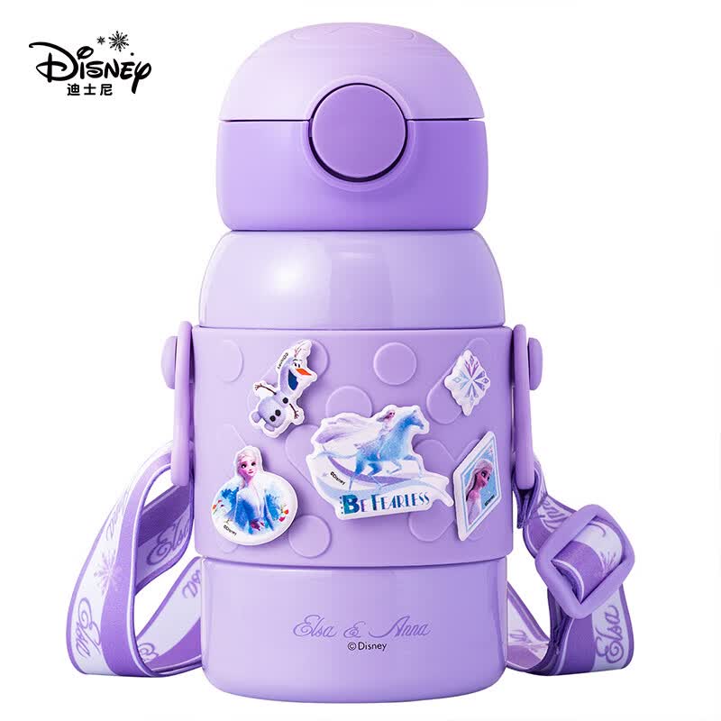 迪士尼（disney）儿童保温杯吸管卡通316不锈钢幼儿园小学生水杯子宝宝防摔便携水杯450ml 冰雪HM3451F怎么看?
