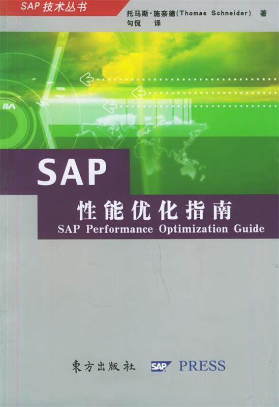 SAP 性能优化指南 epub格式下载