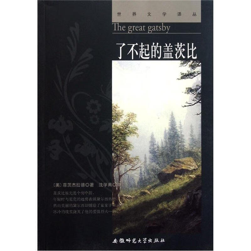 了不起的盖茨比小说长篇小说美国现代 图书