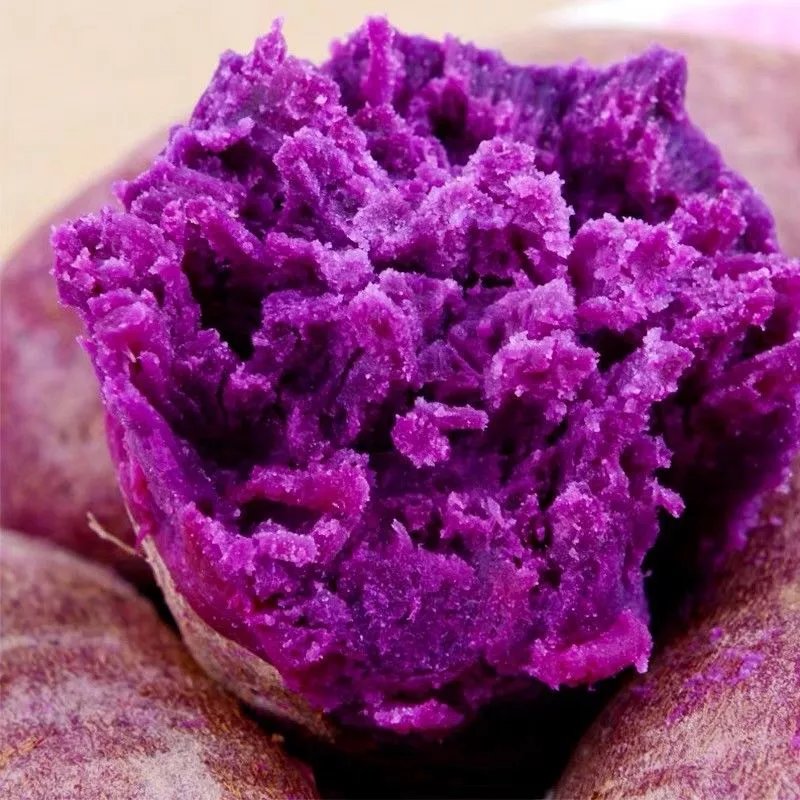 新鲜紫色蜜薯现挖现发沙地紫红薯紫地瓜蔬菜批发 精品大果【带箱9-10斤】