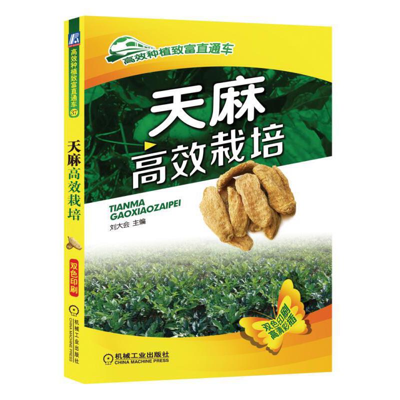 天麻高效栽培