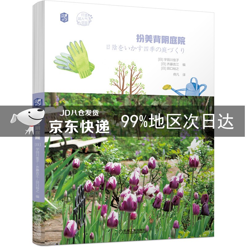扮美背阴庭院