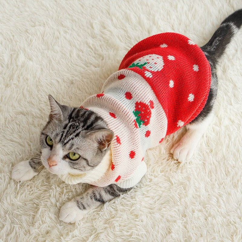 派乐特狗狗猫衣服秋季比熊泰迪博美小型犬条纹宠物秋冬装10号怎么看?