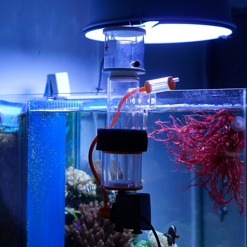 Atman 蛋白质分离器海水鱼缸珊瑚缸迷你微缸红海星小水族箱蛋分sq 50适用于30 50l缸 虎窝购