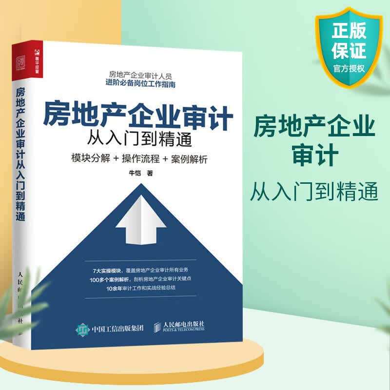 房地产企业审计从入门到精通 模块分解 操作流程 案例解析 审计人员岗位工作指南 内部经济责任审计准则书 财务绩效实务审计学书籍