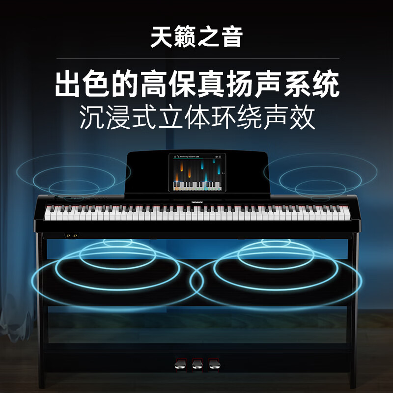 特伦斯（Terence）便携电钢琴88键重锤便携式电子钢琴成人儿童入门考级家用初学者 BX-05/典雅黑+三踏板
