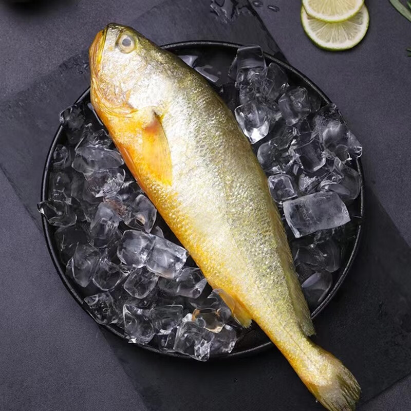 道楼鲜阁 大黄花鱼新鲜冷冻深海黄花鱼小黄鱼冰冻海鲜黄鱼特大1条6~8