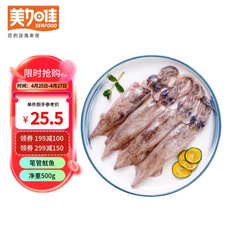 美加佳美加佳 笔管鱿鱼500g 海兔子 墨斗鱼 海鲜水产 烧烤食材