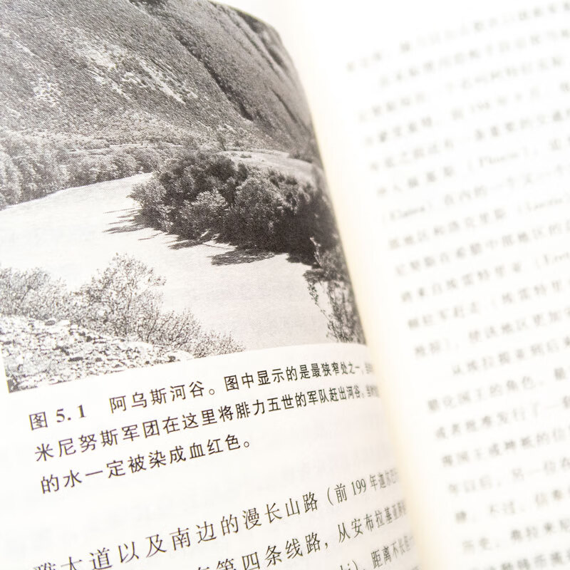 征服希腊 罗马与地中海霸权 图书