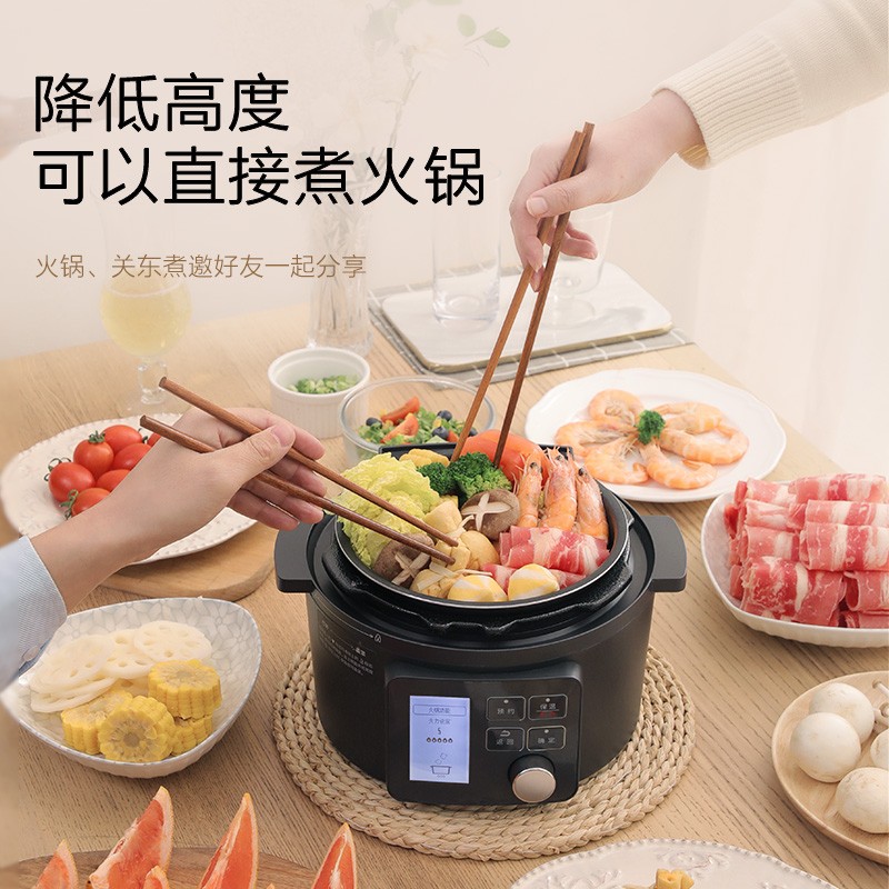 爱丽思(IRIS) 爱丽思电压力锅家用高压锅电饭煲火锅智能多功能电饭锅IRIS大容量 2.2L白色【点阵屏】 2.2L