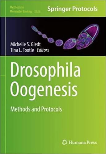 预订 drosophila oogenesis