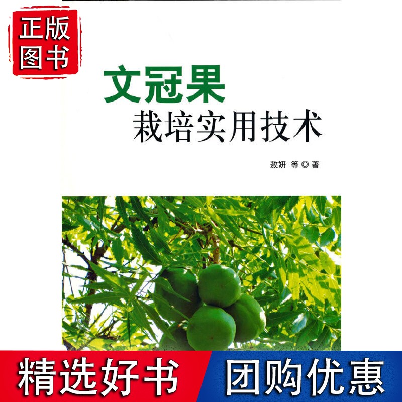 文冠果栽培实用技术