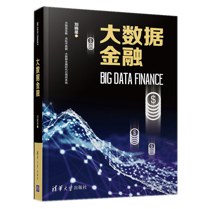 大数据金融 刘晓星 著 大数据思维书籍