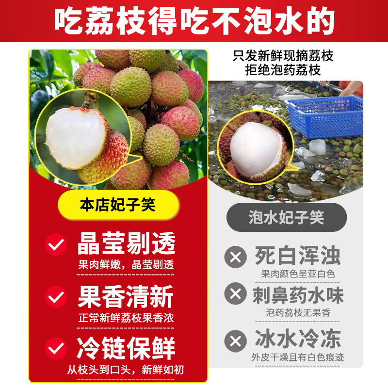 静羽荔枝新鲜2026一箱妃子笑【多地次日达】海南当季新鲜水果送礼物盒 5斤精选装净重4.5斤 30年老树【A+级果】