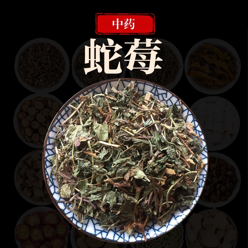 万日红 蛇莓 500克 蛇泡草 蛇盘草 龙吐珠 蛇果草 宝珠草 三叶莓 三爪