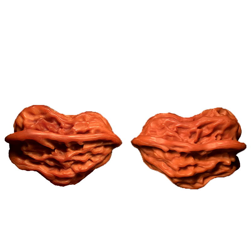 ���ڲ�����ɽ�����������������ʨ��ͷ���ͷ�Ƽ������ñ�Ѽ������������������ �����ͷ42-43mm1�� 8����