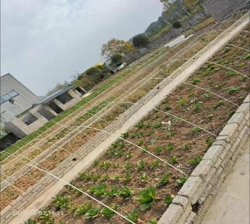 星舵遮阳架子农膜实心防鸟花架家用农业温室保温庭院菜园种菜多肉圆杆