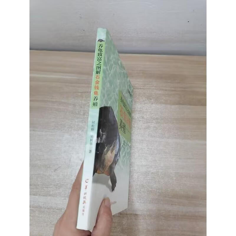 养龟致富之图解石金钱龟养殖