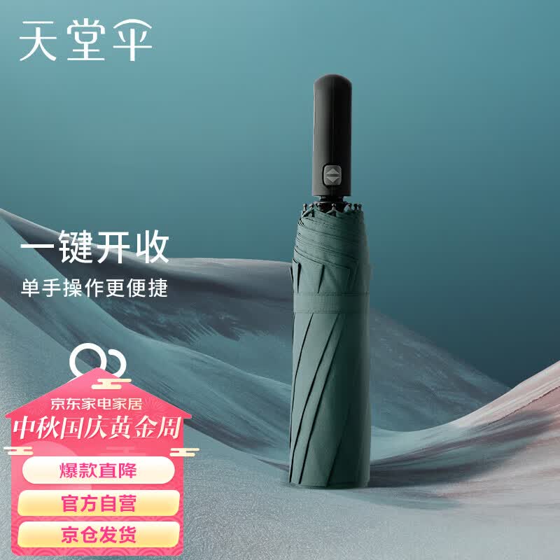 天堂 晴雨伞10骨加固一键开收易甩干简约全自动雨伞男女 冷山绿怎么看?