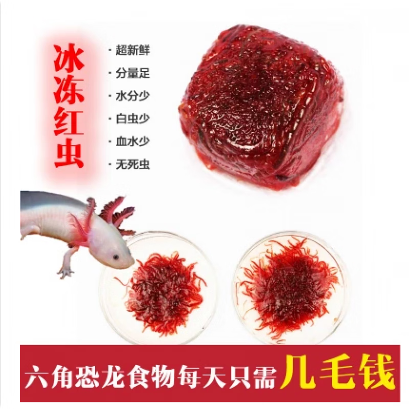 oimg新鲜冷冻红虫冰冻血虫冻赤虫红线虫六角恐龙七彩鱼饲料 冻红虫3板