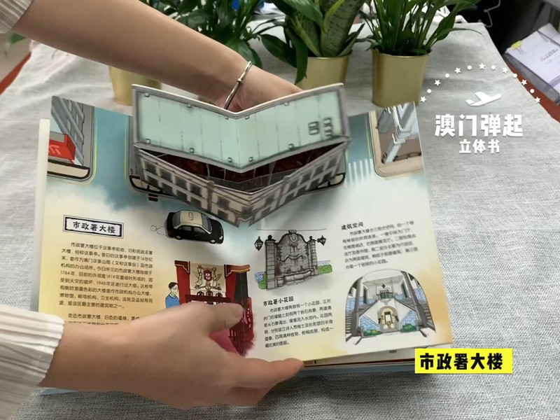 澳门弹起详情图