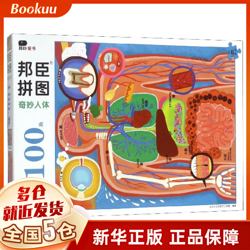 奇妙人体(6岁+)/邦臣拼图