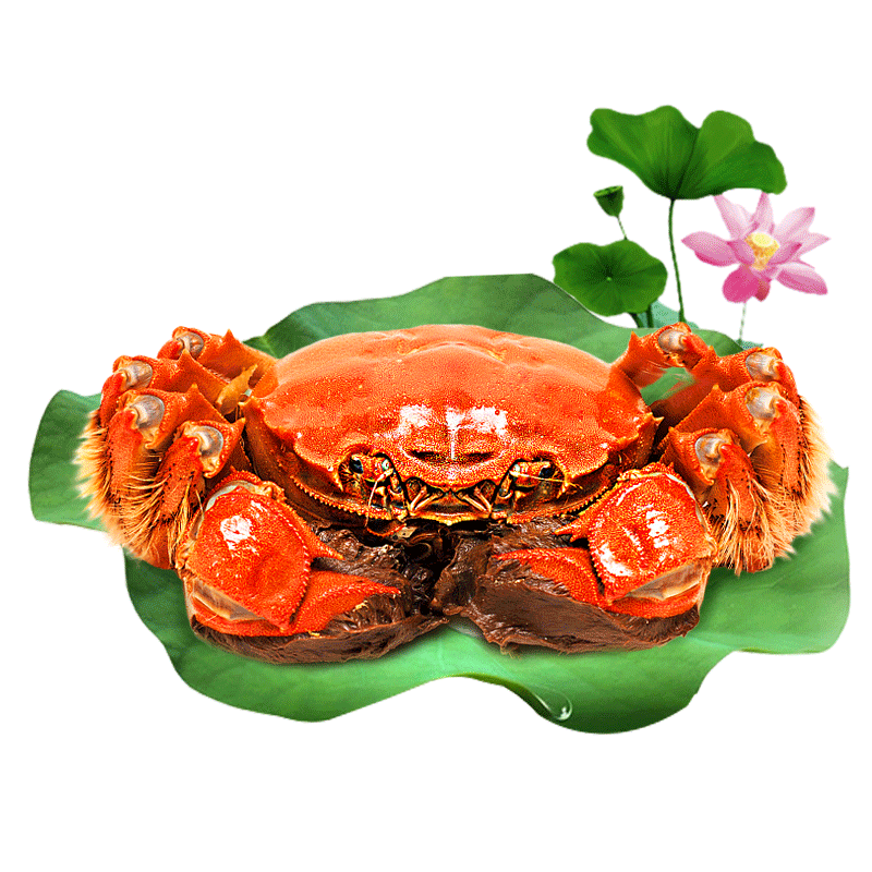 蟹类价格走势网站|蟹类价格走势图